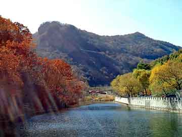 新澳门二四六天天彩，田明建枪战视频